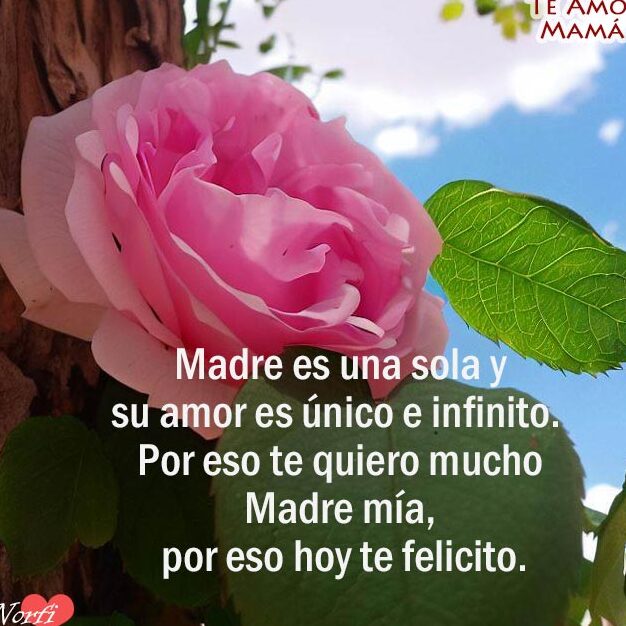 Frases para mi Mamá que está en el Cielo