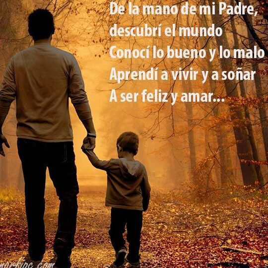Frases Para el 14 de Febrero para Mi Papá