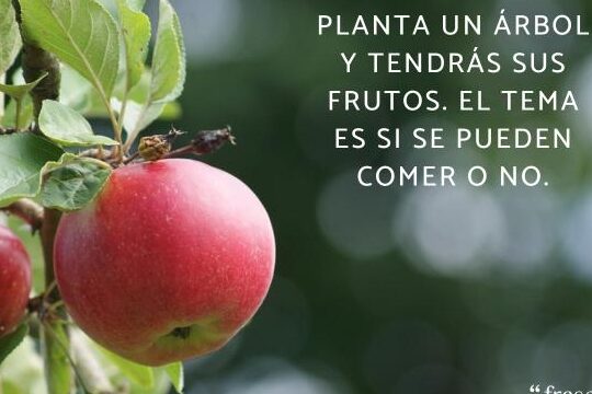 Frases para stickers Memes