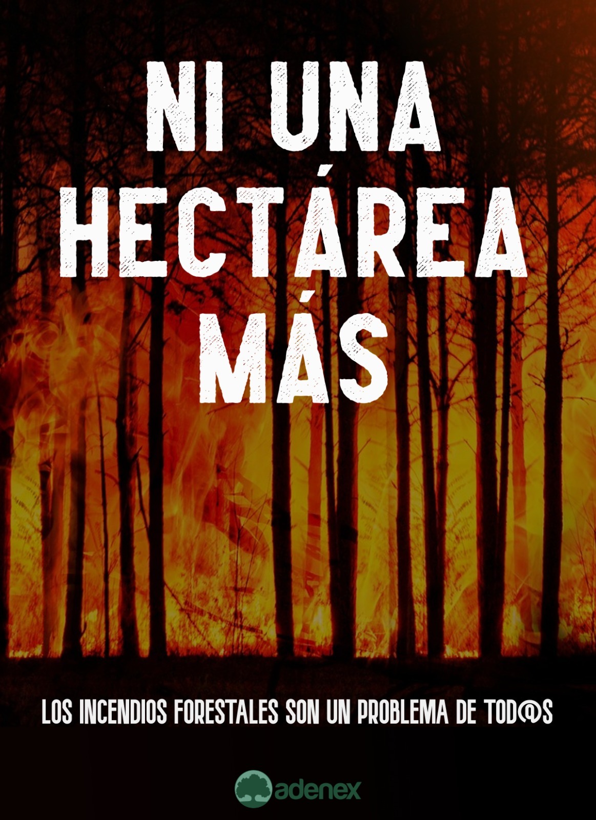 Frases para evitar Incendios Forestales