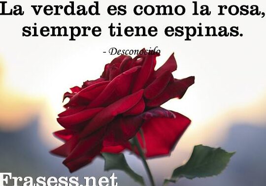 Frases para Recuerdos de Fin de Novenario