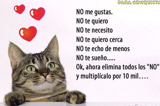 Frases Para Poner en una Carta