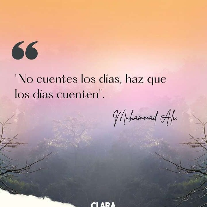 Frases para Campeones