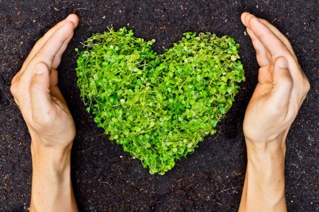 Frases para la Conservación del Planeta