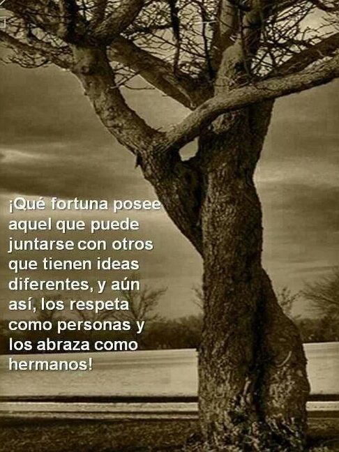 Frases para el Respeto