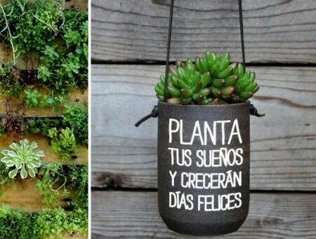 Frases para una planta