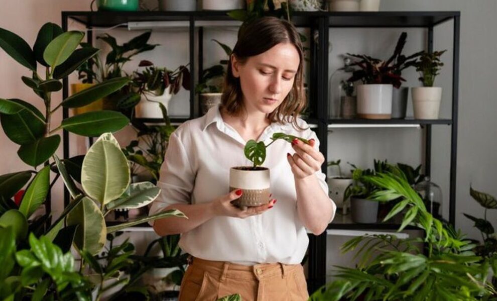 Frases para el cuidado de plantas