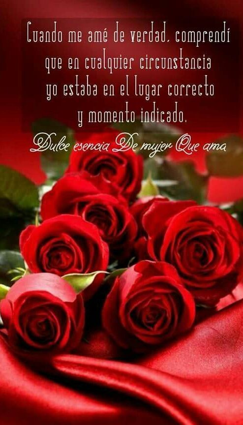 Rosas de Amor con Frases para Enamorar