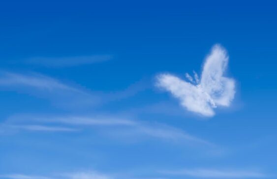 Frases para un Angelito que Falleció